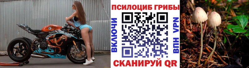 Купить где Нолинск Галлюциногенные грибы GOLDEN TEACHER